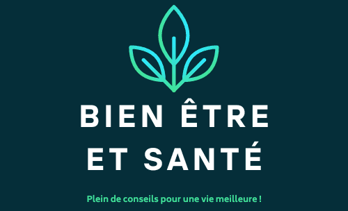 logo Bien être et santé.fr